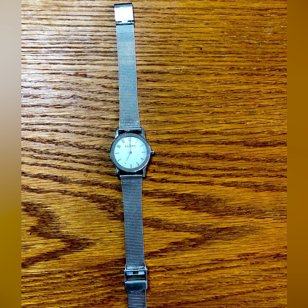 Skagen Denmark Steel Women Wrist Watch Silver Tone Mesh Metal Band Ladies Watch